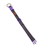 Premium Poly Clip Collar for Dogs, Online Deal in Multiple Colours