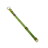 Nylon Dog Collar for Daily Use, Adjustable & Durable