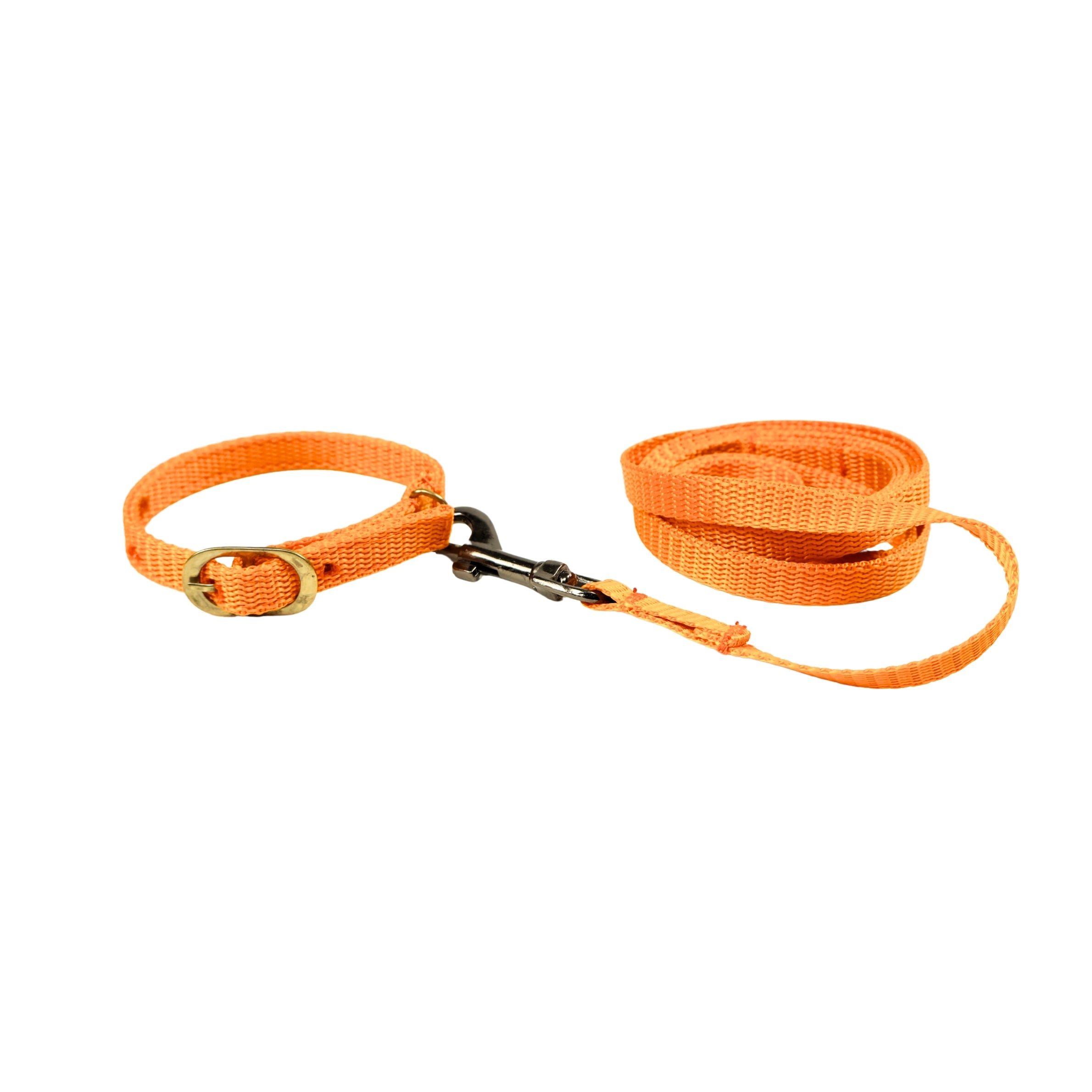 Top Nylon Cat Collar & Leash Set Online, Durable & Safe.