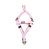 Designer V Dog Harness Online, Stylish & Comfortable in Multiple Colours