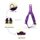 Durable No-Pull Poly V Dog Harness, Comfort Fit, Multiple Colours