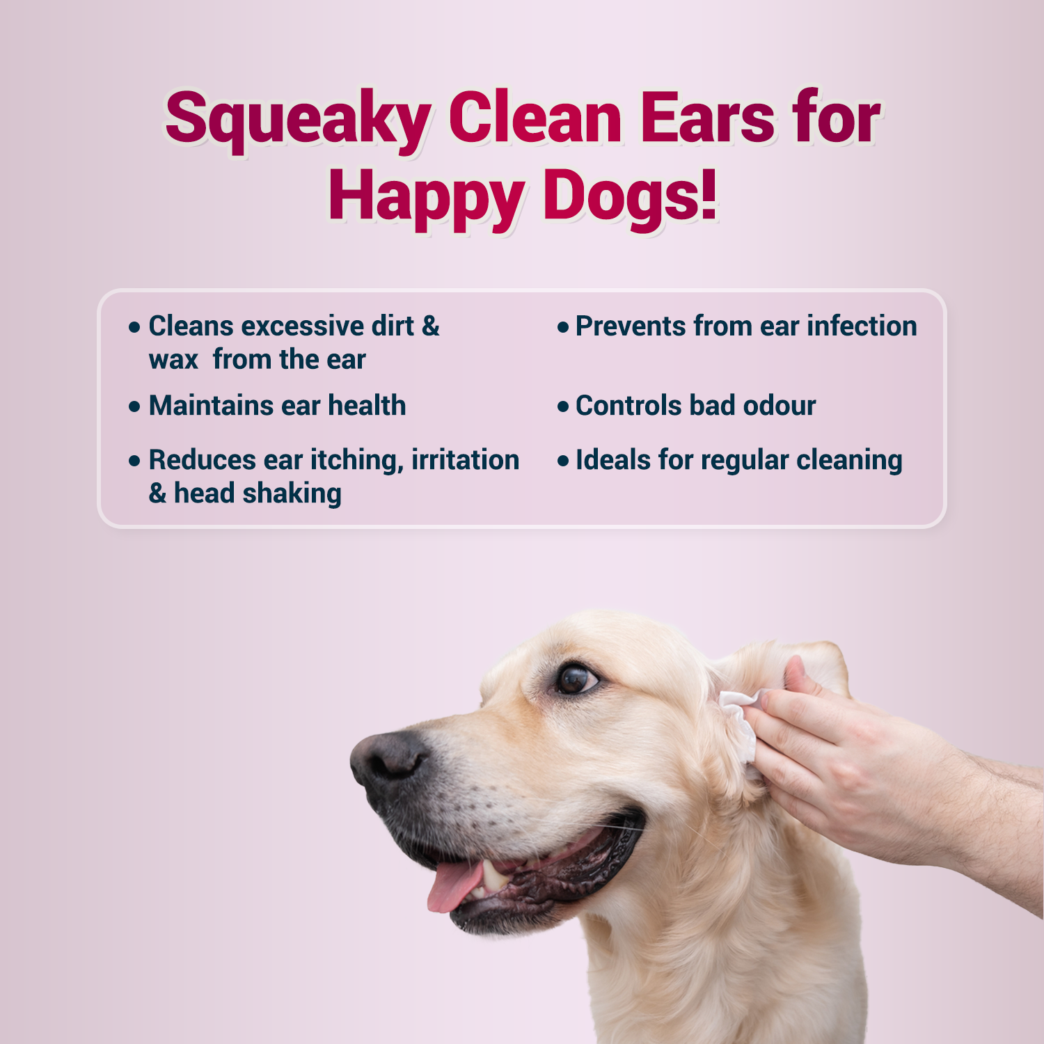 Natural Remedies Audiclean Clean and Healthy Ears for Dogs and Cats