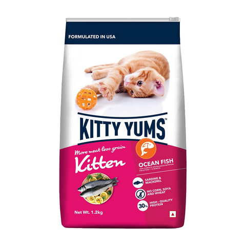 Drools - Kitty Yums - Ocean Fish - Kittens - Dry Cat Food