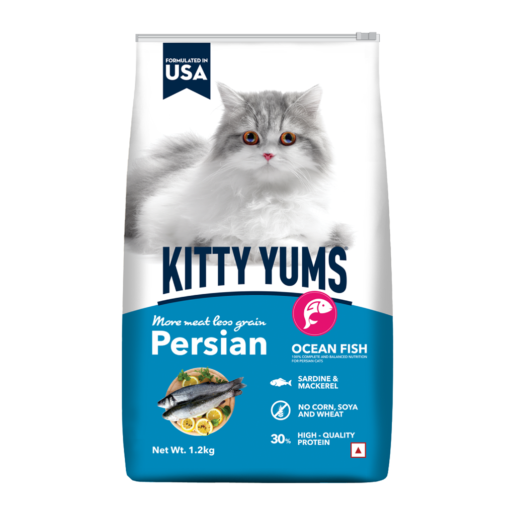 Drools - Kitty Yums - Ocean Fish - Persian Cat - Dry Cat Food