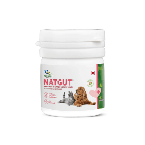 Natural Remedies - NATGUT - Digestive Supplement - For Dog & Cat