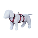 Double H Dog Harness Secure, Adjustable & Multi-Colour