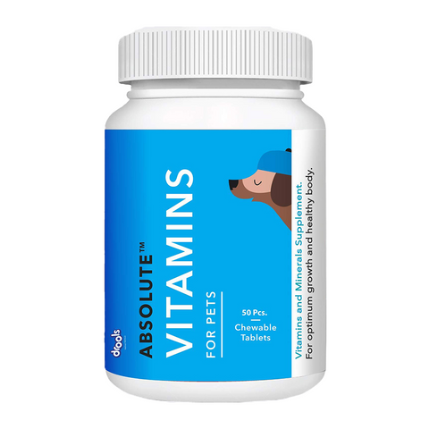 Drools - Absolute - Vitamin Tablets - Dog Supplements