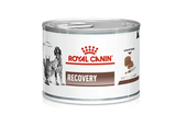 Royal Canin Dog and Cat Recovery Wet Food Canine and Feline