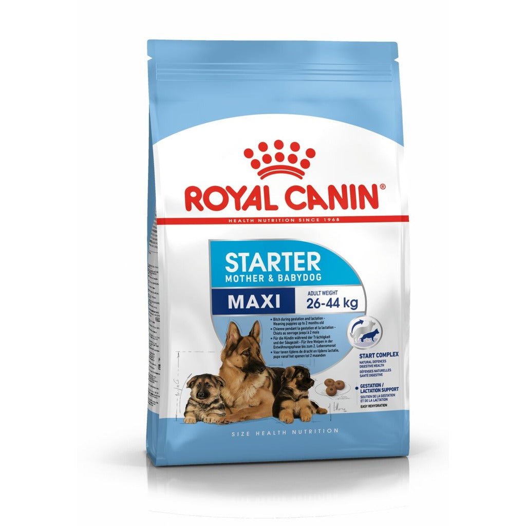 Royal Canin Maxi Breed Starter Dry Dog Food